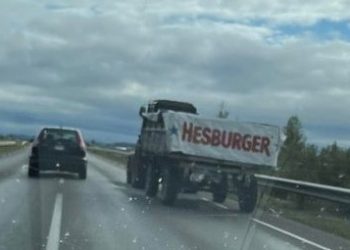 Transporto stygius ar tiesiog perėjimas prie ekologiškos produkcijos?