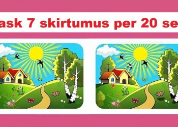 Pastebėkite skirtumą: tik 1 iš 100 žmonių per 20 sekundžių gali pastebėti 7 skirtumus tarp vaizdų. Pabandykite dabar jūs!