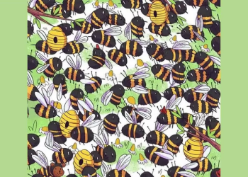 Ieškokite ir įminkit galvosūkį: tik puikus protas gali pastebėti lokį tarp bičių per 7 sekundes. Ar tu vienas iš jų?