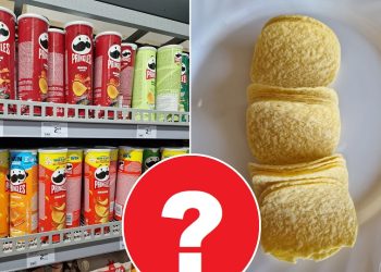 Kodėl „Pringles” buvo uždrausta vadintis bulvių traškučiais