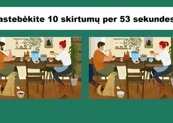 Pastebėkite skirtumą: ar galite pastebėti 10 skirtumų tarp dviejų vaizdų per 53 sekundes?