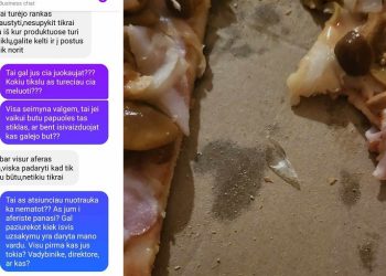 Šiurpinantį radinį picoje radusi klientė picerijos buvo išvadintas aferiste