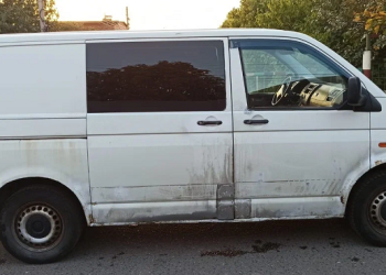 Per plauką išvengta pagrobimo