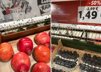 Lidl tampa muselių rojumi