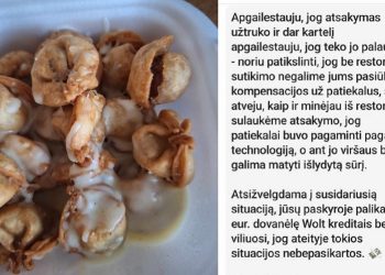 Kebabinės pasiteisinimas sukėlė ir pyktį ir juoką. Bent kaltę būtų pripažinę