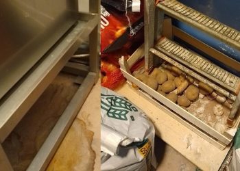 VMVT inspektoriai laikinai sustabdė „Devi Indian” veiklą