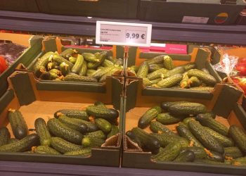 Dabar Lidl galima drąsiai vadinti kainų čempionu