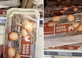 Keista kaip dar viščiukai nespėjo išsiristi