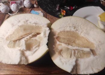 Ar tokiais atvejais galima kaltinti Maxima?