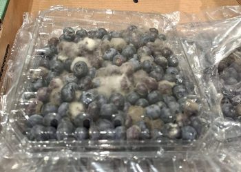 Pasakiško grožio uogos Lidl’e tik 19,98€ už kilogramą