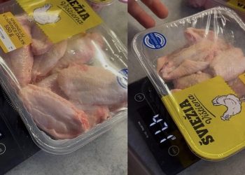 Klausimas vienas – tik kada tai policija prilygins vagystei?