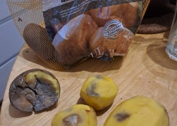 Apie tai įspėja jau nevienas pirkėjas