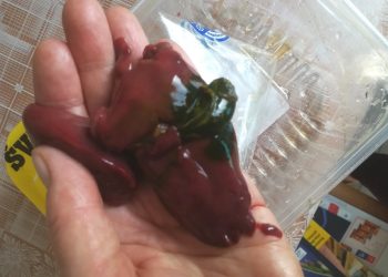 Pirkdami turite apžiūrėti kas pakuotėje, kitaip laukia panašūs siurprizai