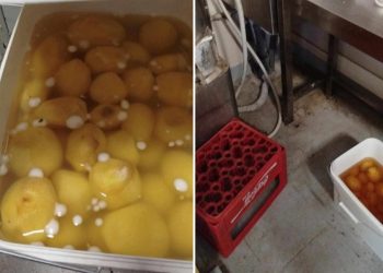 Parodė kokiose sąlygose gaminami cepelinai visų pamėgtoje kavinėje