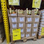 Rusiškas prekybos tinklas „Mere” klesti – kraunasi vis didesnį pelną | Maistas ir Receptai | Tiksaviems.lt