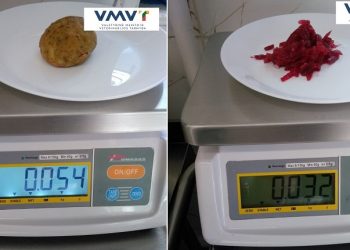 Vaikams buvo patiekiamos mažesnės nei nustatyta porcijos, maistas gamintas pagal nepatvirtintą valgiaraštį