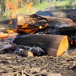Prašau nemėginkite to kartoti, tai gali neigiamai atsiliepti jūsų sveikatai | Maistas ir Receptai | Tiksaviems.lt