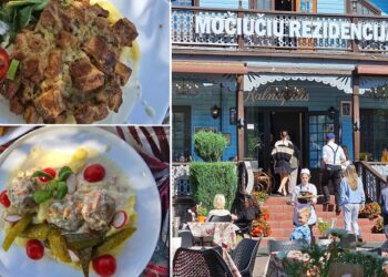 „Močiučių rezidencija” – realybė, kurią pamatę ilgai neatgausite žado