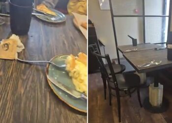 Kas gali būti kavinėje baisiau nei plaukas lėkštėje. Pamatykite video, kuriuo dalinasi vienos Vilniaus kavinės lankytojos