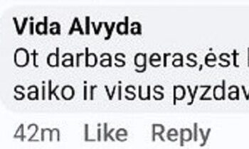 2025 metų komentaro rinkimai. Pamatykite ką sugeba tautiečiai parašyti facebooke