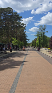 Ar įpirksite šiemet Palangoje šaltibarščius? | Maistas ir Receptai | Tiksaviems.lt