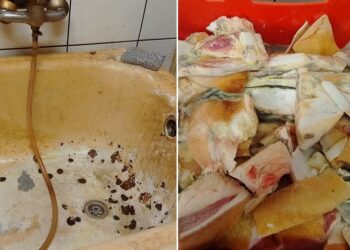 Kompromisų dėl maisto saugos nebus: VMVT sustabdė įmonės veiklą