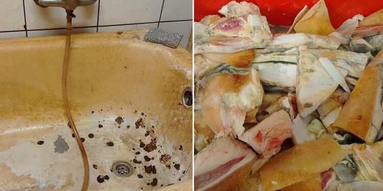 Kompromisų dėl maisto saugos nebus: VMVT sustabdė įmonės veiklą