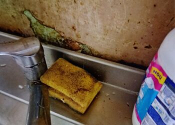 Štai ką rado VMVT atlikusi patikrinimą Palangoje, J. Basanavičiaus gatvėje veikiančioje kavinėje
